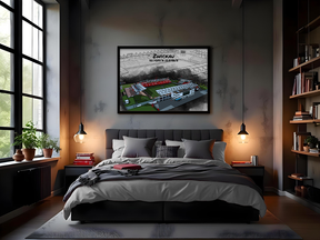 Stadion Poster Zwickau Art Print